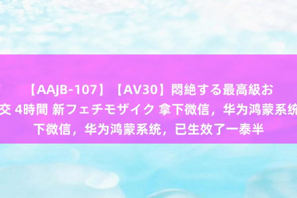 【AAJB-107】【AV30】悶絶する最高級おっぱい生々しい性交 4時間 新フェチモザイク 拿下微信，华为鸿蒙系统，已生效了一泰半