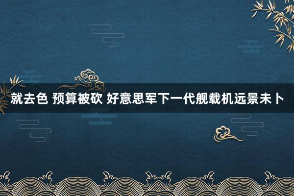 就去色 预算被砍 好意思军下一代舰载机远景未卜