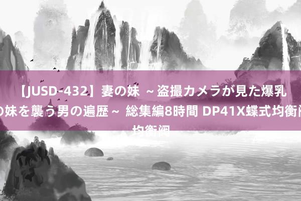 【JUSD-432】妻の妹 ～盗撮カメラが見た爆乳の妹を襲う男の遍歴～ 総集編8時間 DP41X蝶式均衡阀