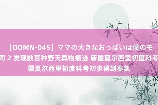 【OOMN-045】ママの大きなおっぱいは僕のモノ 総集編4時間 2 发现数百种野天真物痕迹 新疆夏尔西里初度科考初步得到奏凯