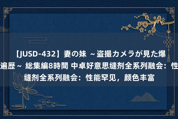 【JUSD-432】妻の妹 ～盗撮カメラが見た爆乳の妹を襲う男の遍歴～ 総集編8時間 中卓好意思缝剂全系列融会：性能罕见，颜色丰富