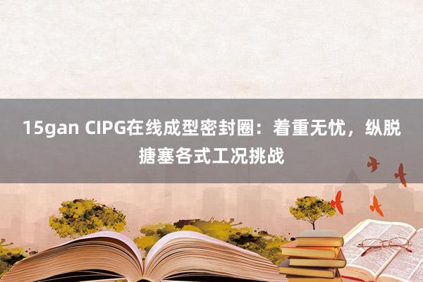 15gan CIPG在线成型密封圈：着重无忧，纵脱搪塞各式工况挑战