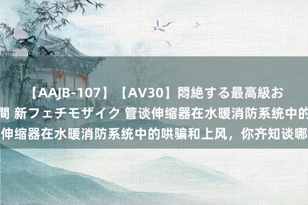 【AAJB-107】【AV30】悶絶する最高級おっぱい生々しい性交 4時間 新フェチモザイク 管谈伸缩器在水暖消防系统中的哄骗和上风，你齐知谈哪些