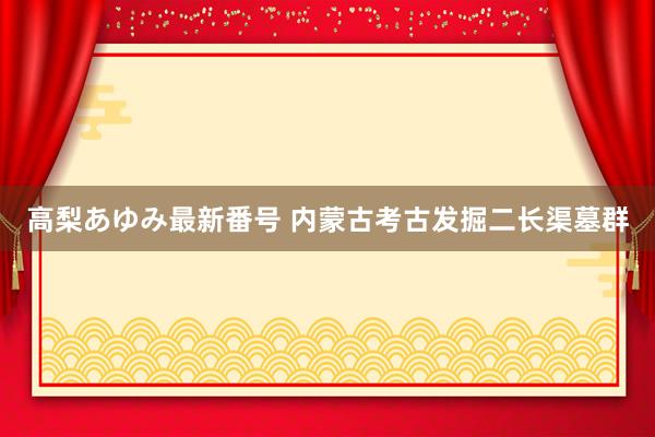 高梨あゆみ最新番号 内蒙古考古发掘二长渠墓群