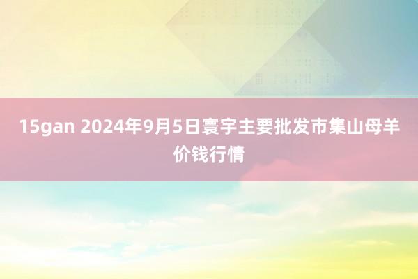 15gan 2024年9月5日寰宇主要批发市集山母羊价钱行情