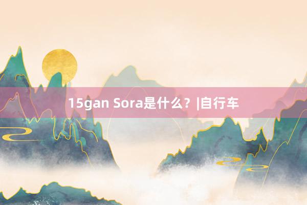 15gan Sora是什么？|自行车