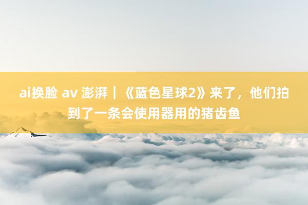 ai换脸 av 澎湃｜《蓝色星球2》来了，他们拍到了一条会使用器用的猪齿鱼